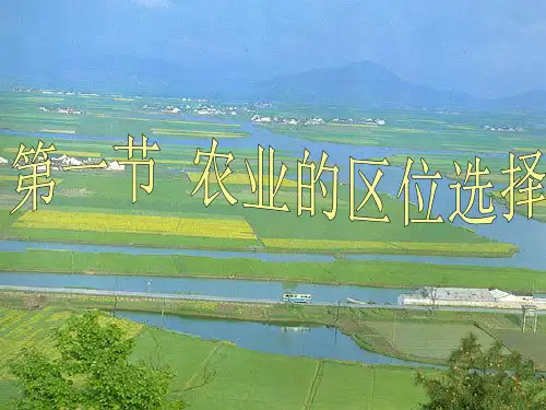 第三章第一节农业的区位选择