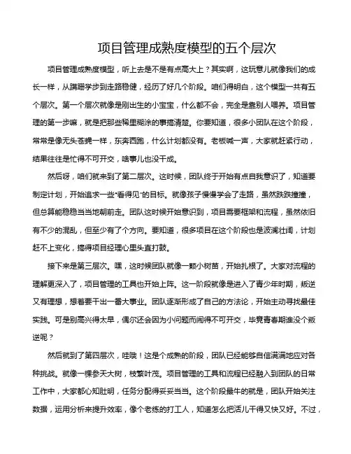 项目管理成熟度模型的五个层次