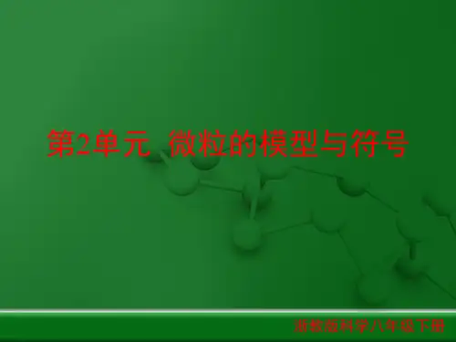 【新版】浙教版科学八年级下册《微粒的模型与符号》复习【创新课件】1