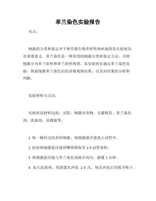 革兰染色实验报告