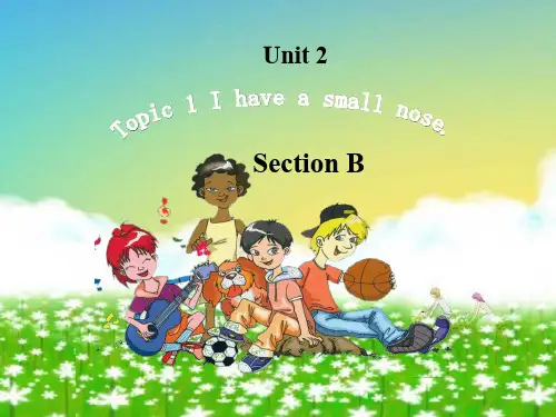 新仁爱版七年级英语上册Unit 2 Looking Different Topic 1 Section B 优质课课件