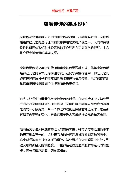 突触传递的基本过程