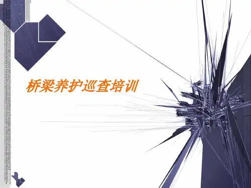 桥梁养护巡查管理培训精品PPT课件