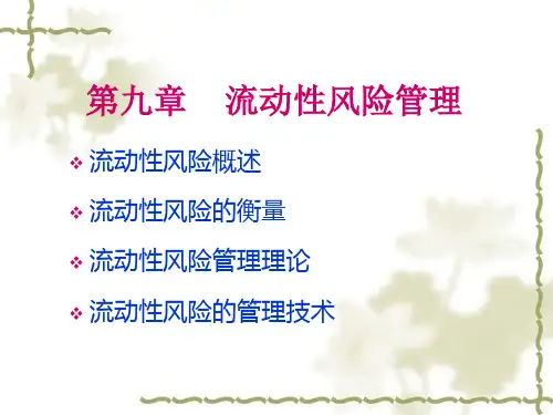 金融风险管理六