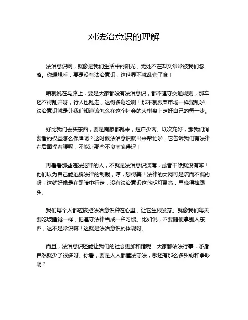 对法治意识的理解