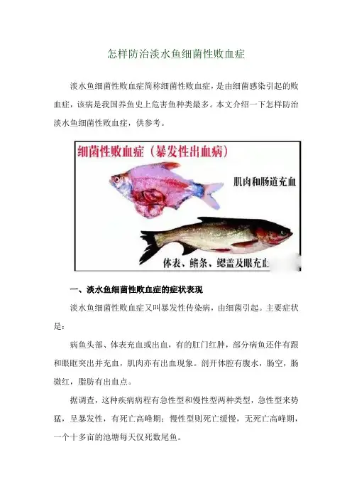 怎样防治淡水鱼细菌性败血症