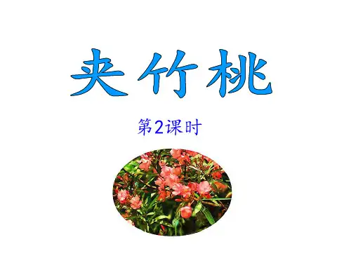 苏教版小学六年级语文下册《夹竹桃》课件(第2课时)