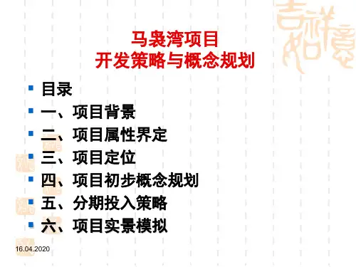 海南临高马袅湾项目开发策略与概念规划(密)共63页文档