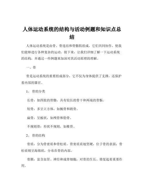 人体运动系统的结构与活动例题和知识点总结