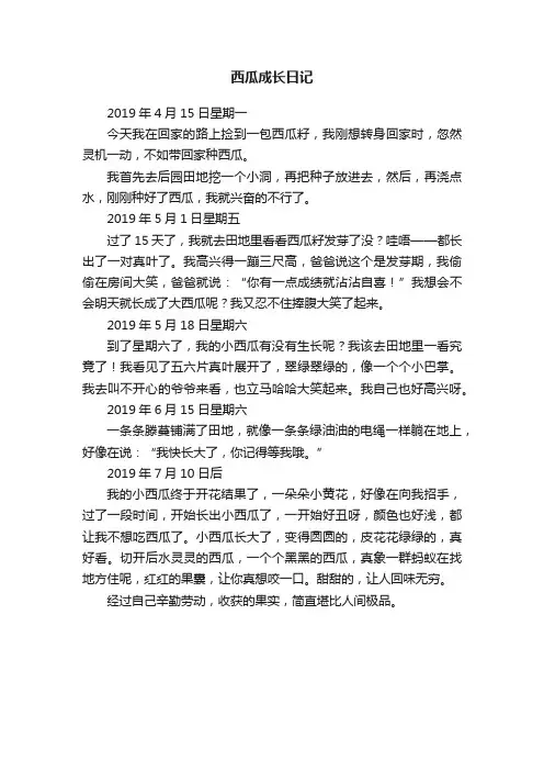 西瓜成长日记