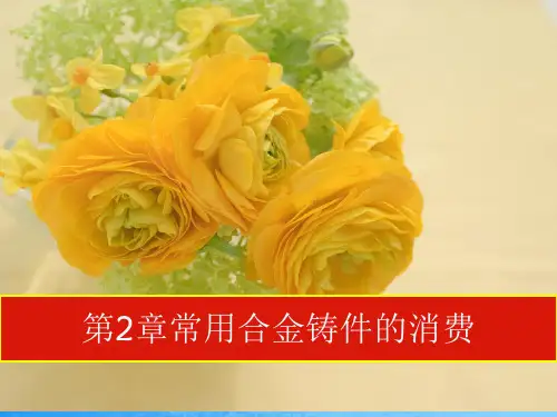 常用合金铸件的生产ppt课件