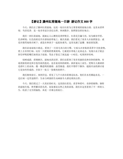 【游记】滕州红荷湿地一日游 游记作文800字