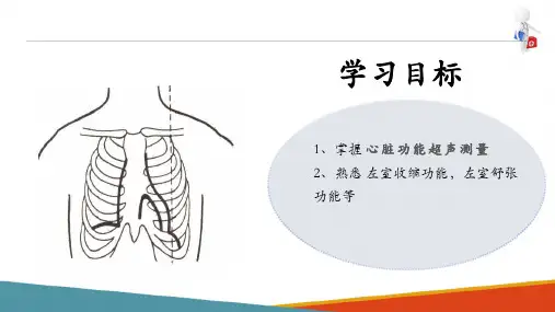心脏超声检查 心脏功能超声测量
