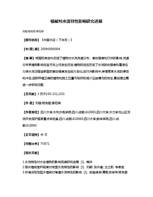 植被对水流特性影响研究进展