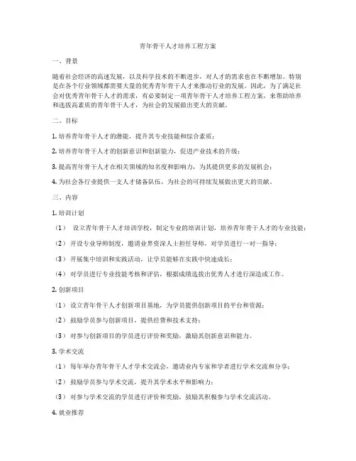青年骨干人才培养工程方案