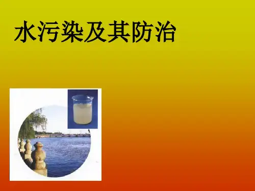 (六下)科学优秀课件-3.3水污染及其防治 ｜人教版 PPT(13页)