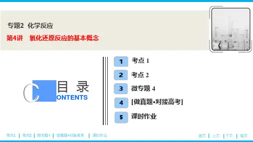 高考化学专题复习 氧化还原反应的基本概念