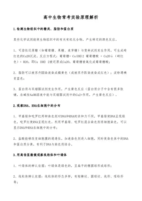 高中生物常考实验原理解析
