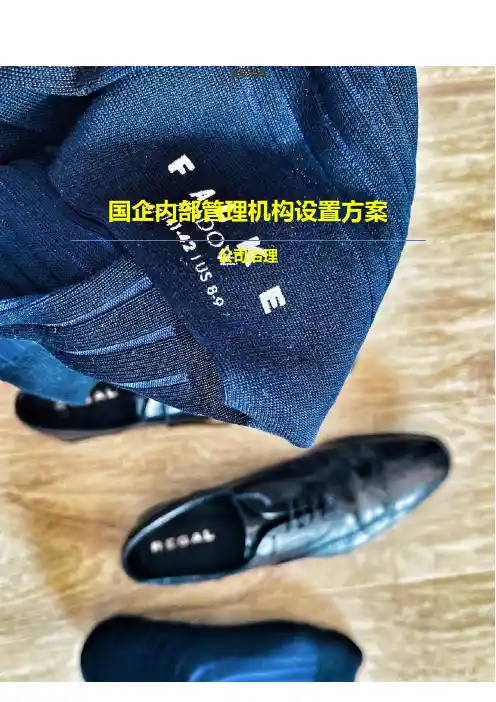 【公司治理】公司内部管理机构设置方案（☆☆☆☆）