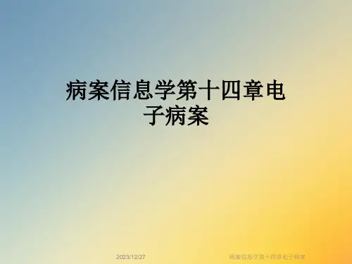 病案信息学第十四章电子病案