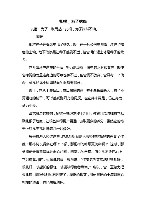 初一作文：以扎根为主题的作文800字