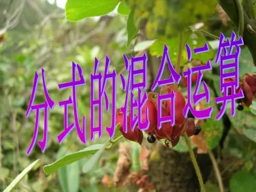 人教版八年级数学下册第十六章第二节：分式的混合运算    PPt新授课课件