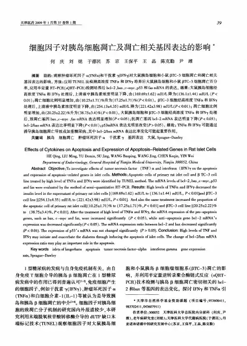 细胞因子对胰岛细胞凋亡及凋亡相关基因表达的影响