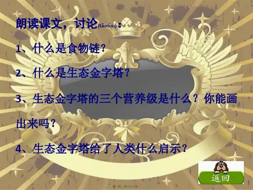 五年级语文上册 第五单元 生态金字塔课件1小学五年级上册语文课件