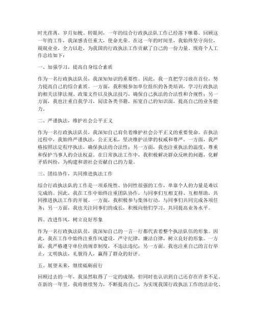 综合行政执法队队员个人工作总结