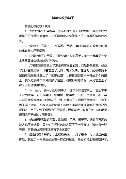 赞美蚂蚁的句子集锦