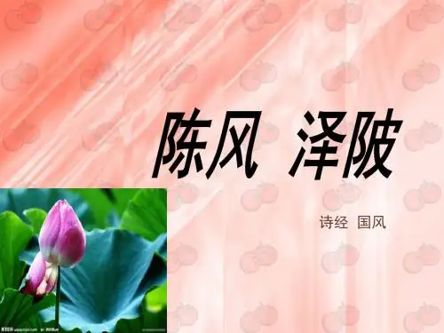 有蒲与蕳硕大且卷寤寐无为中心悁悁-国风泽陂诗经
