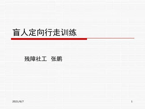盲人定向行走训练