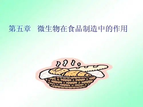 食品微生物学 第五章