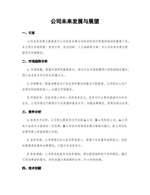 公司未来发展与展望