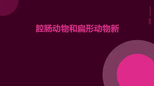 腔肠动物和扁形动物新