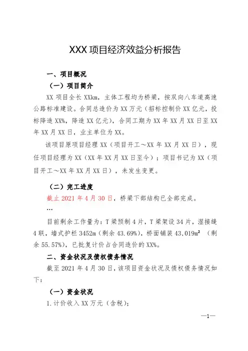 XX项目经济效益及原因分析模板(项目填写)