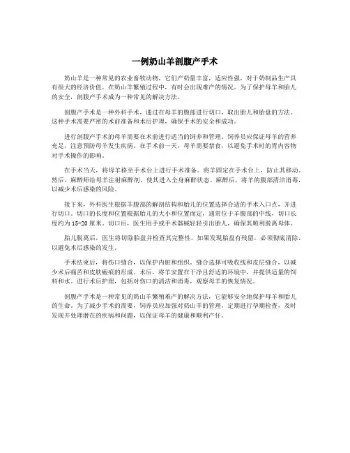 一例奶山羊剖腹产手术