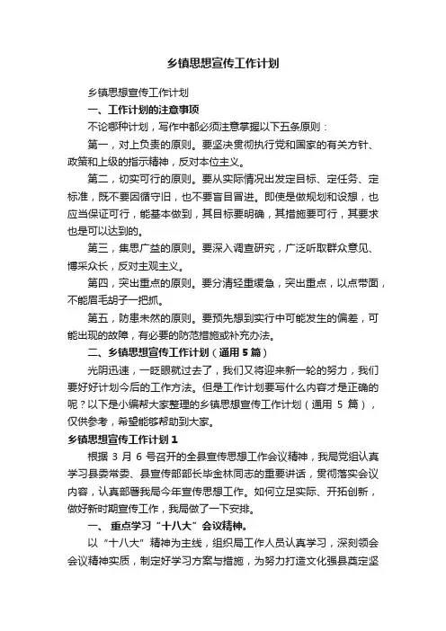 乡镇思想宣传工作计划（通用5篇）