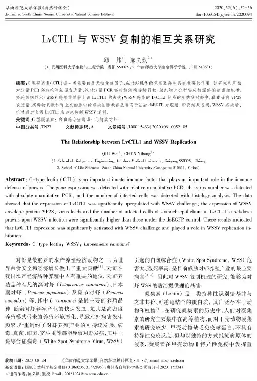 LvCTL1与WSSV复制的相互关系研究