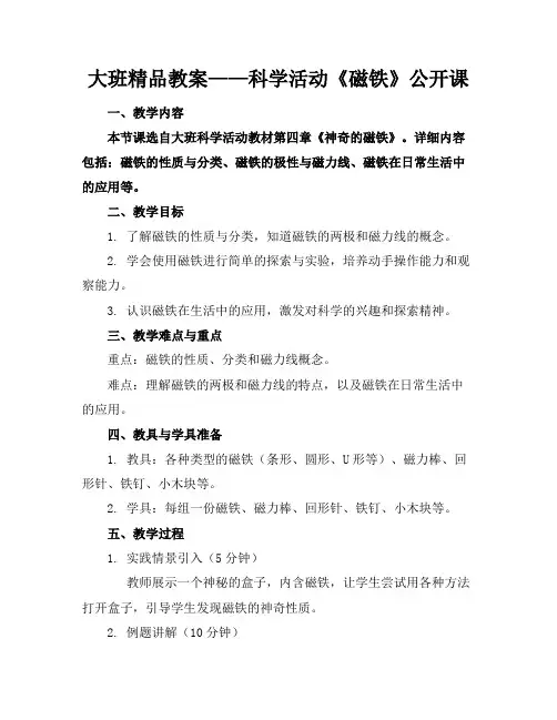 大班精品教案——科学活动《磁铁》公开课
