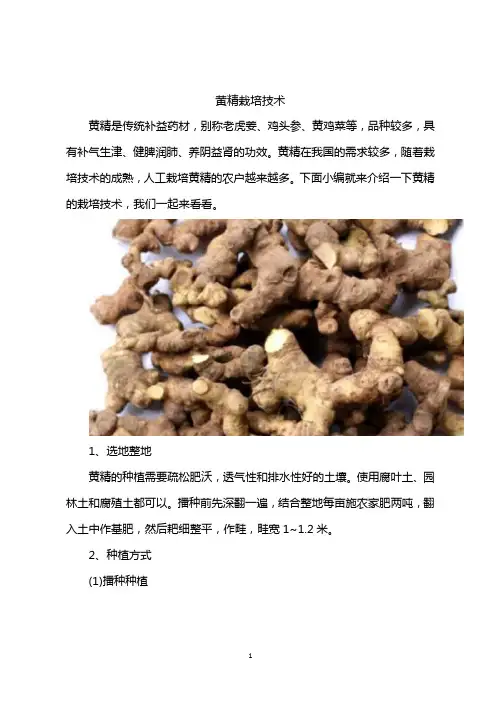 黄精栽培技术