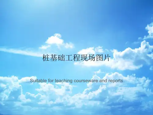 桩基础工程现场图片