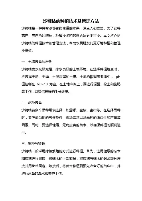 沙糖桔的种植技术及管理方法