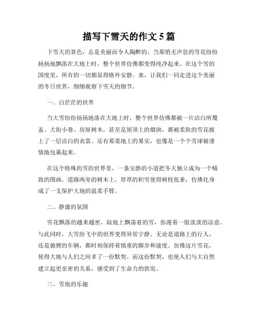 描写下雪天的作文5篇