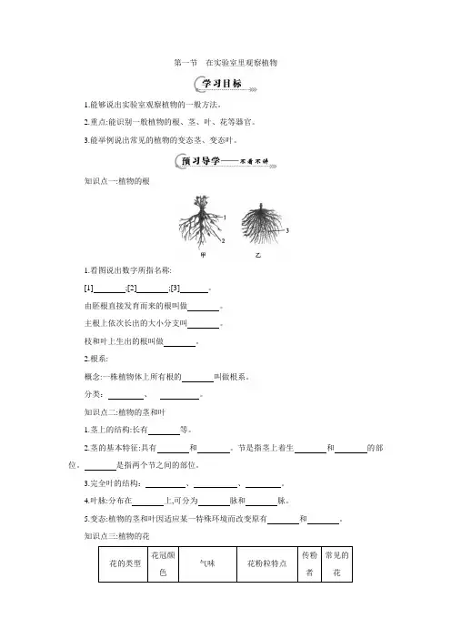冀教版七年级上册生物1.3.1在实验室里观察植物(导学案2 ).doc
