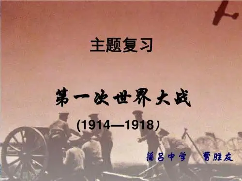 第一次世界大战 PPT课件19 人教版