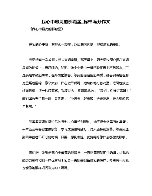 我心中最亮的那颗星_榜样满分作文