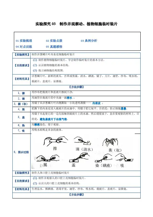 实验探究03制作并观察动植物细胞临时装片