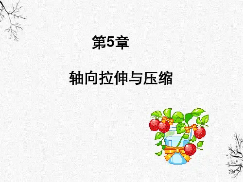 工程力学第五章