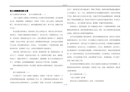 老人与海鸥读后感20篇
